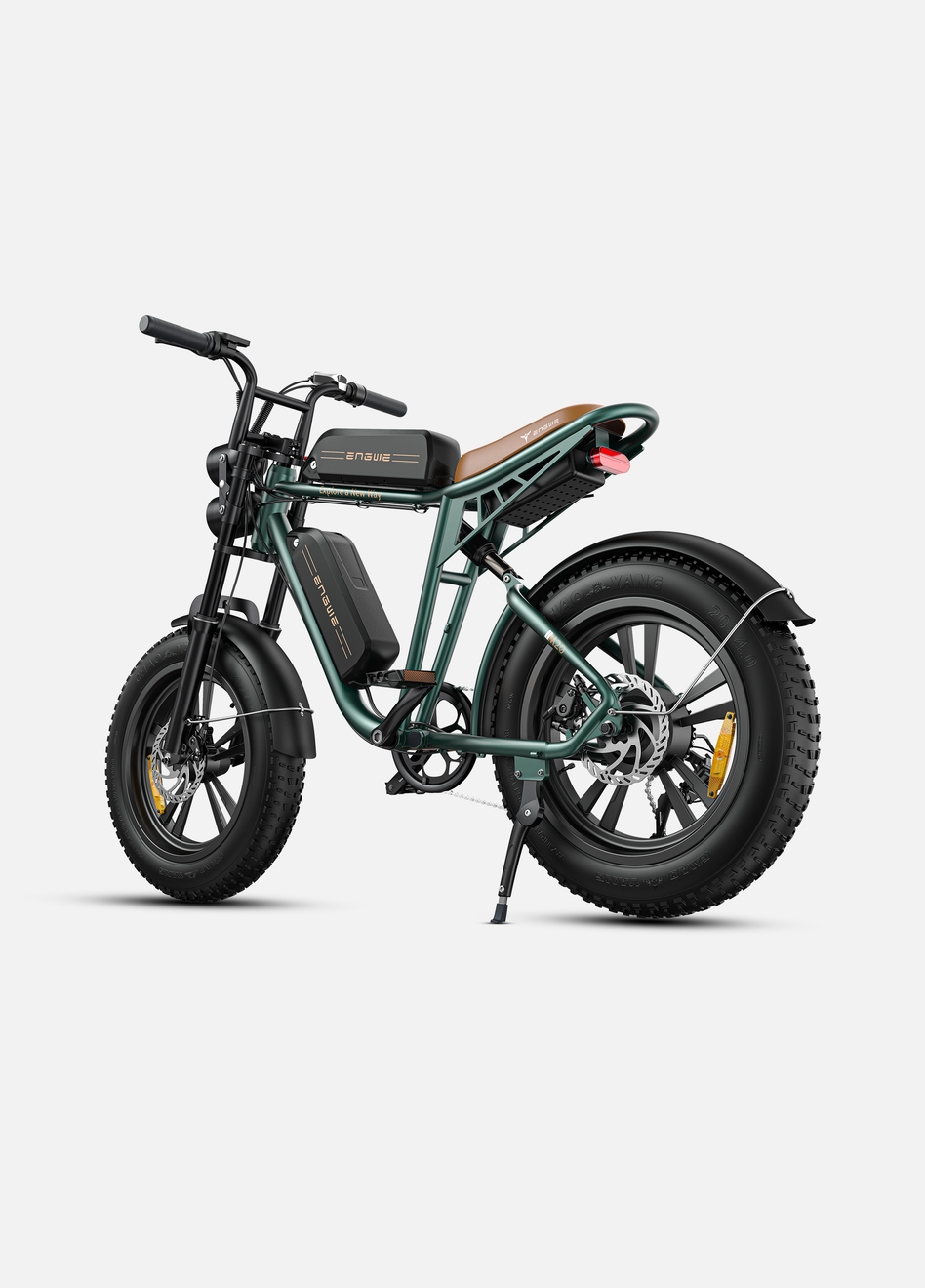 M20 Motorcycle-styled Electric Bike
