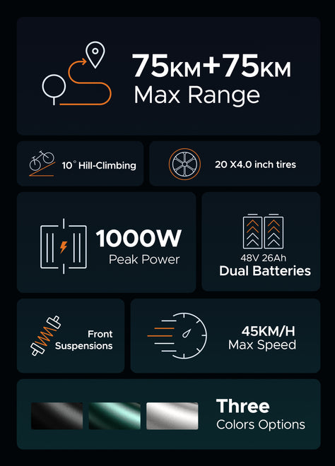 M20 Motorcycle-styled Electric Bike