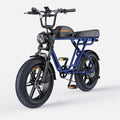 Navi Blue-M1 Motorcycle-styled Electric Bike