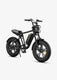 M20 Motorcycle-styled Electric Bike